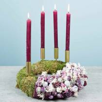 Torkade blommor Broom Bloom Blekt 140g