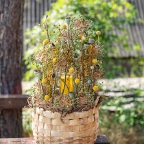 Artikel Craspedia Torkade Blommor Trumpinnar Gul 70cm 10 st