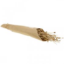 Artikel Torkade blommor vallmofrökapslar natur torkade vilda torkade dekorationsgäng 100g