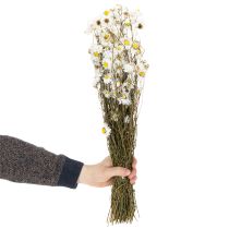 Artikel Torkade Acroclinium-blommor, vita blommor, torkat blomsterarrangemang, 60 cm, 80 g