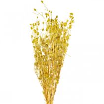 Artikel Torkade blommor gul torr tistel jordgubbstistel 100g