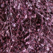 Artikel Dekorativ krans, torkade blommor, metalliclila Lepidium, väggkrans, Ø33 cm, heminredningsaccessoar
