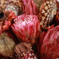 Artikel Torkade blommor mix rosa protea kronärtskocka vallmo 38cm 580g