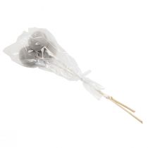 Artikel Torkade blommor dekorativa klockkoppar på en stjälk grå 37cm 3 st