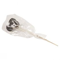 Artikel Torkade blommor dekorativa klockkoppar på stjälk svart 44cm 3 st