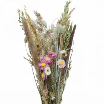Bukett torkade blommor gräs Phalaris halmblommor rosa 60cm 110g