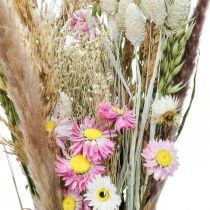 Bukett torkade blommor gräs Phalaris halmblommor rosa 60cm 110g