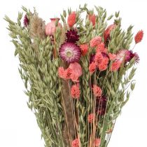 Artikel Bukett torkade blommor halmblommor spannmålsvallmo kapsel Phalaris sedge 55cm