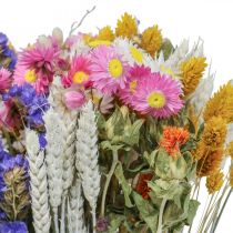 Bukett torkade blommor havslavendel Phalaris korn 55cm