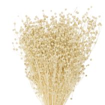 Artikel Torkat gräslin torkat naturligt blekt 50-55 cm 180 g
