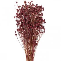 Artikel Torrt gräs Torkat lin Gammelrosa H50–55cm 80g