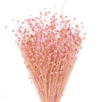 Artikel Torrt gräs Torkat lin Ljusrosa H50–55cm 80g