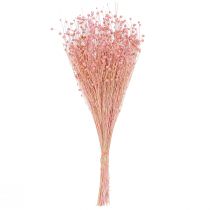 Artikel Torkad lingräsdekoration ljusrosa 50-55cm 80g bordsdekoration