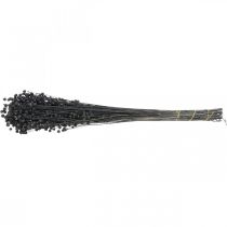 Artikel Torkat lindekorationsgräs, svart, 50-55 cm, 80 g