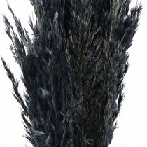 Artikel Torrgrässtarr torkat svart dekorativt gräs 70cm 10 st