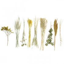 Artikel Verktygssats med torkade blommor, gult för kreativa buketter och dekorativa kransar, 60 cm – naturprodukt