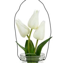 Tulpan vit i ett glas H21cm 1p