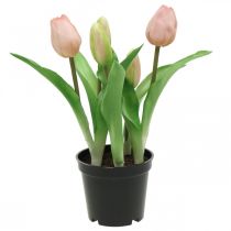 Artikel Tulpan rosa, grön i kruka Konstgjord krukväxt dekorativ tulpan H23cm