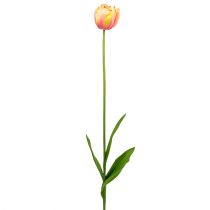 Tulpaner rosa-gula 86 cm 3st