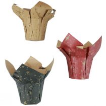 Artikel Planteringspappersstjärnor röd/antracit/naturlig Ø12cm H12cm 9st