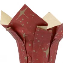 Artikel Planteringspappersstjärnor röd/antracit/naturlig Ø12cm H12cm 9st