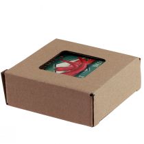 Artikel Underlägg för glas keramiska fruktgrönsaker 10×10cm 4st