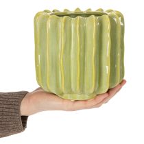 Artikel Kaktusblomkruka, idealisk skål för exotiska heminredningsdetaljer, 16 cm