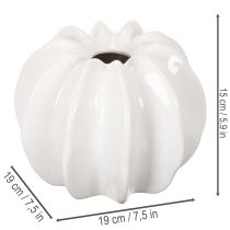 Artikel Pumpa-dekorativ vas, glansig, höstdekoration för vardagsrum, 19 cm
