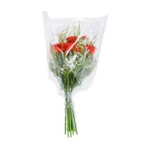 Artikel Förpackningstratt B L55cm B50cm - 15cm 50 st