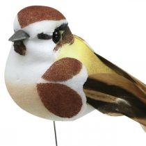 Vårdekoration, fåglar på tråd, konstgjord fågel brun, vit H3cm 12st