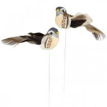 Fågeldekoration, fåglar på tråd, vårdekoration blå, brun H3,5cm 12st