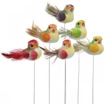 Fjäder, fågel på tråd, färgglada blomproppar H2,5cm 24st
