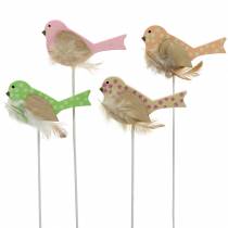 Dekorativ plugg fågel trägrön, rosa, gul, orange blandad 7cm x 4 cm H24cm 16st