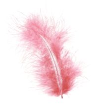 Artikel Fågelfjädrar hantverksfjädrar i rosa vårpåsk 20g