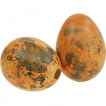 Artikel Vaktelägg dekoration blåsta ägg apelsin aprikos 3cm 50 st