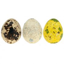 Vaktelägg sortiment gul, natur 3cm 62st
