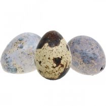 Vaktelägg mix lila, violett, naturtomma ägg som dekoration 3cm 65p