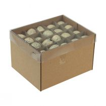 Artikel Vaktelägg dekoration Påskblåsta ägg grädde 3cm 50 st