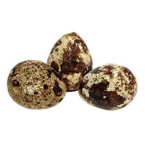 Vaktelägg som dekoration tom naturell 50 st