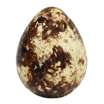 Artikel Vaktelägg som dekoration, tomma, naturliga, 50 stycken