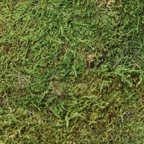 Artikel Julgran mossdekoration i grön natur Ø30cm H100cm