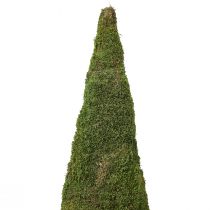 Artikel Julgran mossgran dekoration i grön natur Ø25cm H70cm