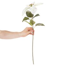 Artikel Konstgjord vit julstjärna, stor blommande grendekoration, 65 cm, 2 stycken