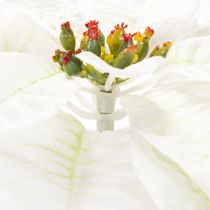 Artikel Konstgjord vit julstjärna, stor blommande grendekoration, 65 cm, 2 stycken