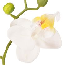 Artikel Vita orkidéer i kruka, konstgjorda Phalaenopsis, H33 cm