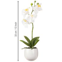 Artikel Vita orkidéer i kruka, konstgjorda Phalaenopsis, H33 cm