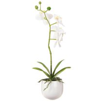 Artikel Vita orkidéer i kruka, konstgjorda Phalaenopsis, H33 cm
