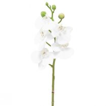 Vit konstgjord orkidé Phalaenopsis Real Touch 32cm