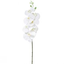 Artikel Vit konstgjord orkidé Phalaenopsis Real Touch H83cm