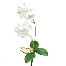 Vit orkidé på Pick Artificiell Phalaenopsis Real Touch 39cm